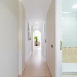Appartement Amarre Shell *