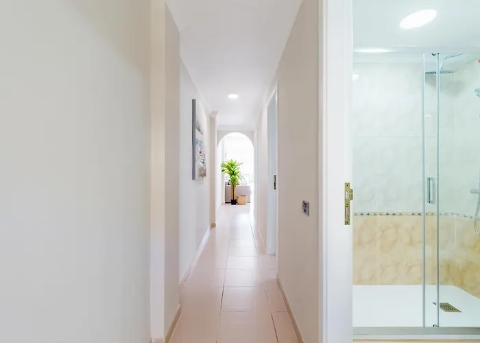 Apartman Amarre Shell *